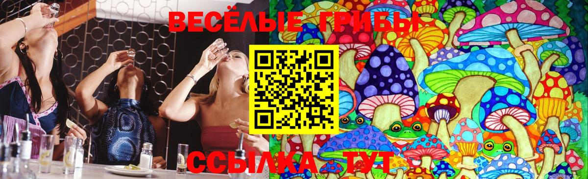 Псилоцибиновые грибы прущие грибы Элиста