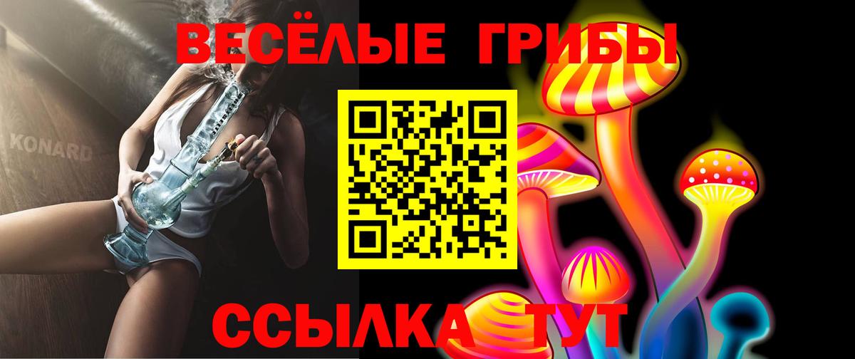 Галлюциногенные грибы ЛСД  Галлюциногенные грибы GOLDEN TEACHER  Элиста  где купить наркоту  Вход с VPN 